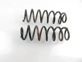 Rear coil spring