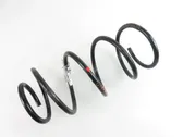 Front coil spring