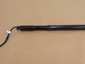 Tailgate/trunk strut/damper