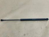 Tailgate/trunk strut/damper