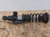 Rear shock absorber with coil spring