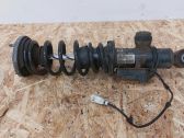 Rear shock absorber with coil spring