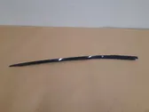 Windshield trim