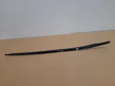 Windshield trim