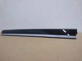 Radio/GPS head unit trim