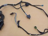 Front door wiring loom