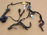 Rear door wiring loom
