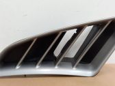Fender grill