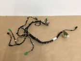 Other wiring loom