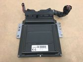Engine control unit/module ECU