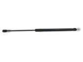 Tailgate/trunk strut/damper