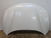Engine bonnet/hood