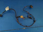 Rear door wiring loom