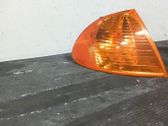 Front fender indicator light