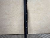 Sill/side skirt trim