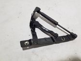 Tailgate/trunk/boot hinge