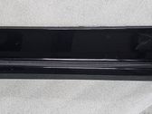 Listón embellecedor de la puerta delantera (moldura)