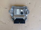 Engine control unit/module ECU