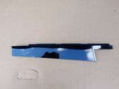 Rear door glass trim molding