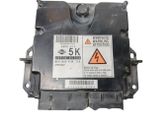 Engine control unit/module ECU