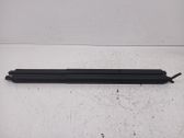 Tailgate/trunk strut/damper