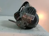 Cinturón trasero