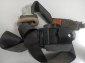 Cinturón trasero