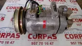 Compressore aria condizionata (A/C) (pompa)