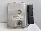 Engine control unit/module ECU
