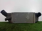 Chłodnica powietrza doładowującego / Intercooler