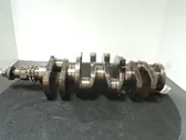 Albero motore