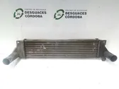 Chłodnica powietrza doładowującego / Intercooler