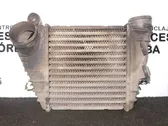 Intercooler radiator