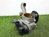 Throttle body valve