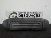 Manecilla externa puerta delantera