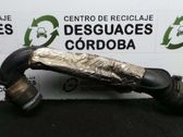 Coolant pipe/hose