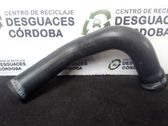 Coolant pipe/hose