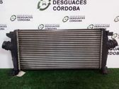 Intercooler radiator