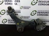 Brazo de suspensión delantero