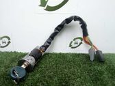 Ignition lock