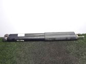Rear shock absorber/damper