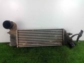Intercooler radiator