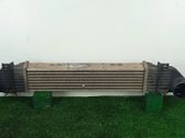 Radiador intercooler