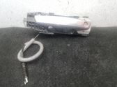 Manecilla externa puerta delantera