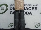 Amortiguador/puntal del maletero/compartimento de carga