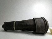 Stoßdämpfer hinten