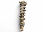 Rear shock absorber with coil spring