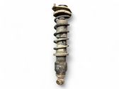 Rear shock absorber with coil spring