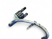 Vacuum valve
