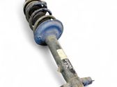 Front shock absorber with coil spring